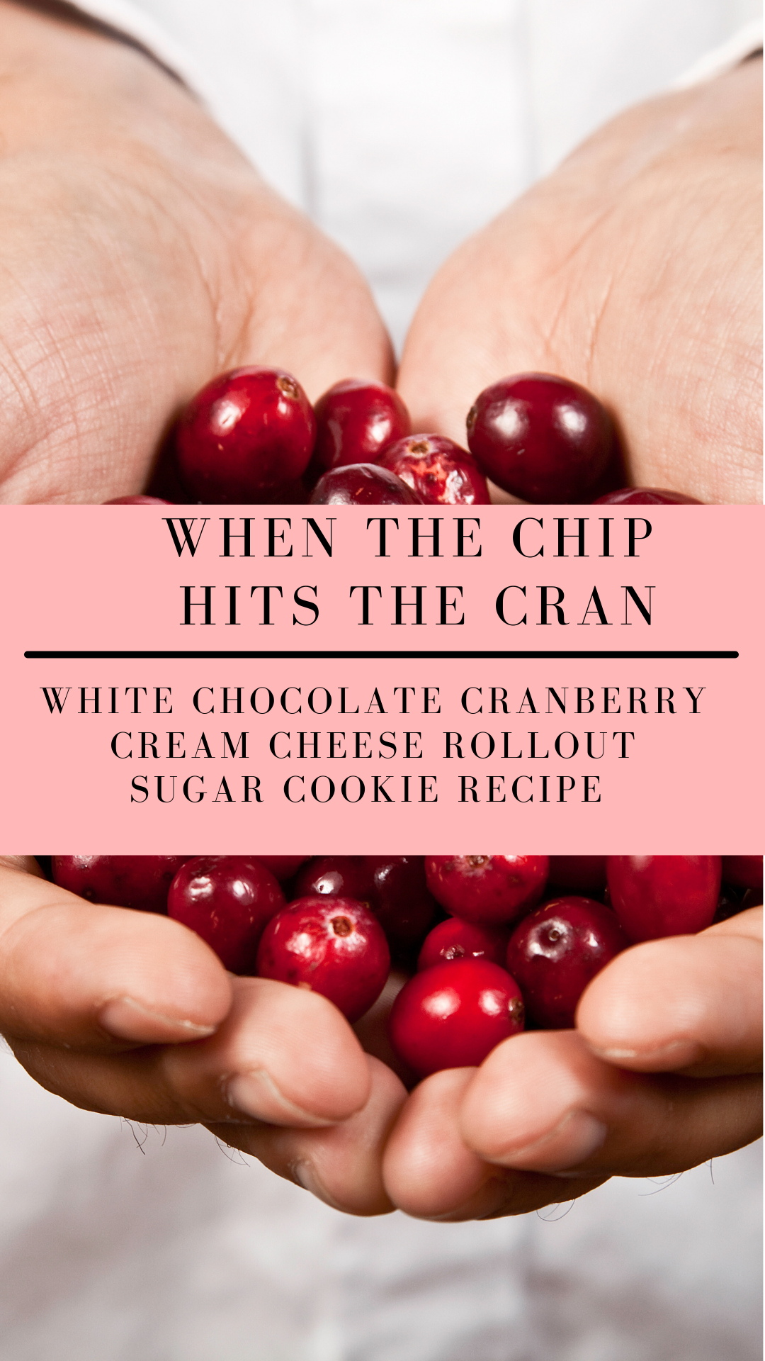 When the Chip Hits the Cran: White Chocolate Cranberry Cream Cheese Rollout Cookie